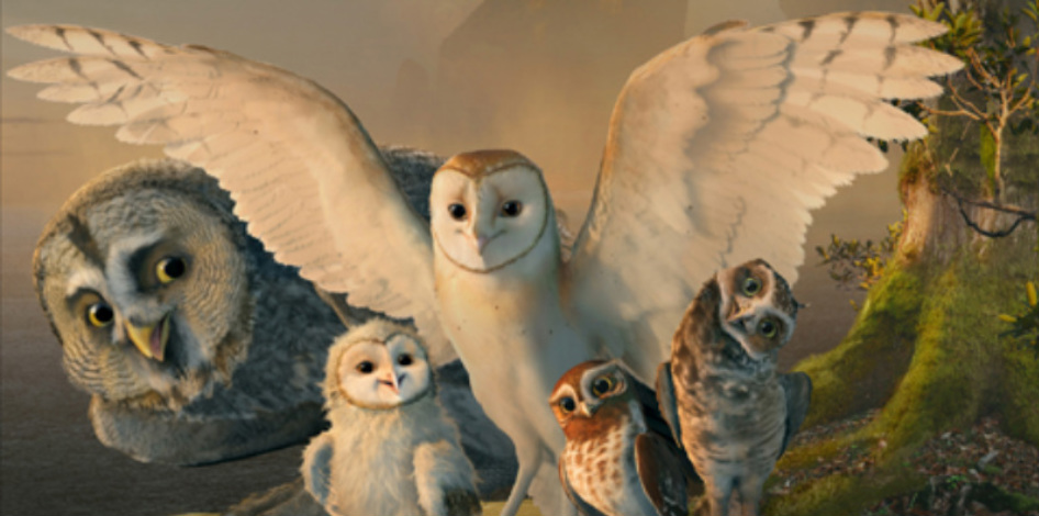 Owls of Ga'hoole - Noble Owls
